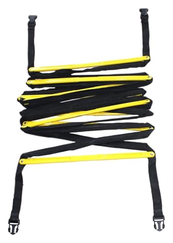 Agility Ladder, Speed Ladder, Speed and Agility Training Set, Thickened Ladder, Cones Football Equipment - size: 2.55M