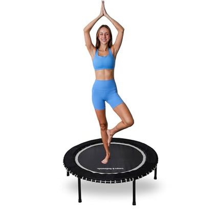 Leaps and Rebounds Fitness Trampoline, 40-inch or 48-inch |Adults and Kids Rebounder for Indoor and Outdoor, Up to 270 lbs Low Impact Cardio and Easy Home Workout