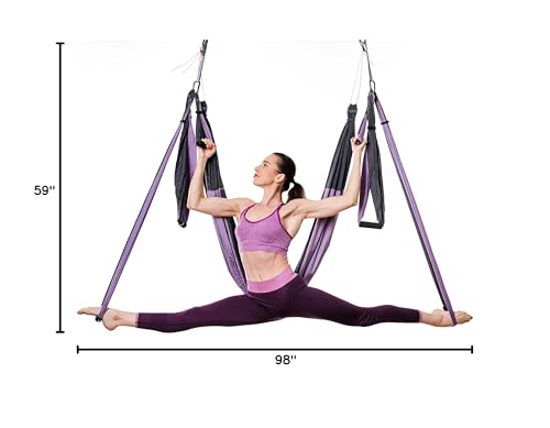 Aerial Yoga Swing Set - Yoga Hammock Hanging Swing - Aerial Sling Inversion Fly Kit - Acro Yoga Inversion Tool - Antigravity Toga Sling - Suspension Trapeze (Grey-Lilac)