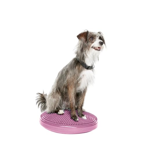 FitPAWS® Dog Balance Disc – 14”, Razzleberry | Dog Exercise Equipment | Workout Tool for Strength, Core, Stability & Rehabilitation - color: Razzleberry, size: 14"