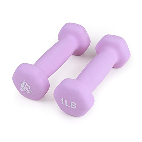 LIONSCOOL Set of 2 Neoprene Coated Dumbbell Hand Weights, Anti-Slip and Anti-Roll Hex Dumbbells in Pair for Strength Training, Resistance Training - style: Lavender 1lb Pair