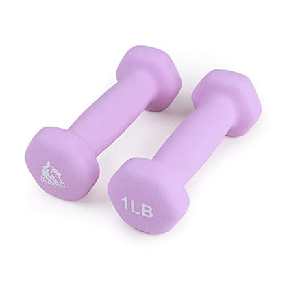 LIONSCOOL Set of 2 Neoprene Coated Dumbbell Hand Weights, Anti-Slip and Anti-Roll Hex Dumbbells in Pair for Strength Training, Resistance Training - style: Lavender 1lb Pair
