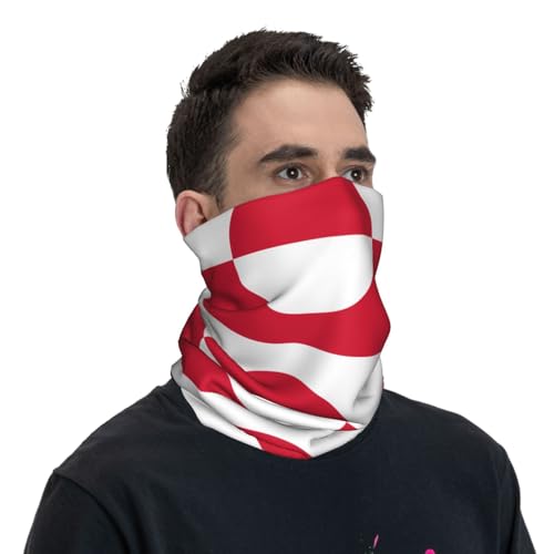 Greenland Flag Prints Multifunctional Sport Headband – Seamless Stretch Neck Gaiter for Hiking, Biking, Running & Outdoor Activities – Soft, Quick-Dry, No-Fade Design