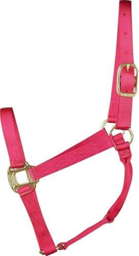 Hamilton Quality Horse Halter, 800-1100 lbs, Brown - color: Raspberry, size: Average, 800-1100lbs