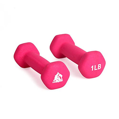 LIONSCOOL Set of 2 Neoprene Coated Dumbbell Hand Weights, Anti-Slip and Anti-Roll Hex Dumbbells in Pair for Strength Training, Resistance Training