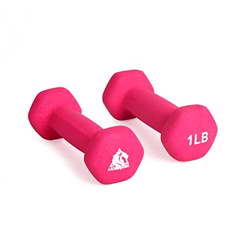 LIONSCOOL Set of 2 Neoprene Coated Dumbbell Hand Weights, Anti-Slip and Anti-Roll Hex Dumbbells in Pair for Strength Training, Resistance Training