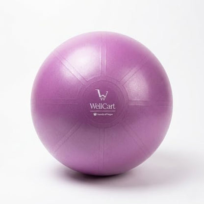 Inflatable Body Balance Ball Kit. Anti-Burst, Yoga-Ball, Luftpumpe, Workout-Program