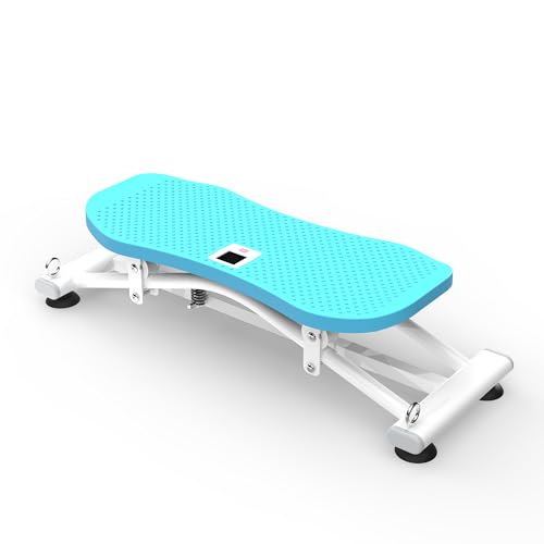 Sliding Ski Simulator with Resistance Bands, Indoor Skiing Fitness Equipment with Non-Slip Base for Home Gym, Full-Body Cardio Training Machine for Core Leg Arm Workout