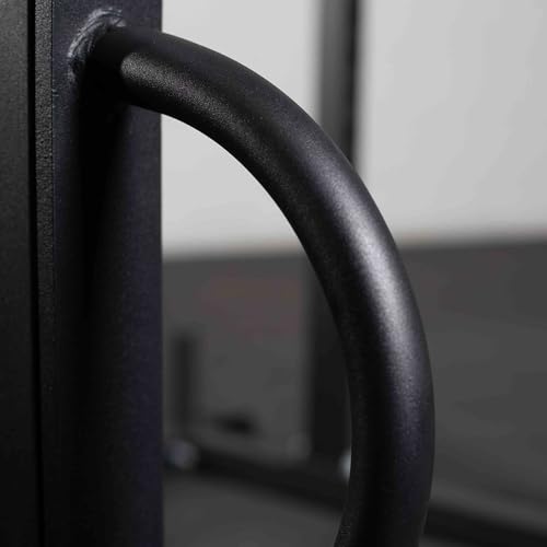 Titan Fitness T-2 Series Battle Rope Anchor, Rack-Mounted D-Ring Attachment for Battle Ropes, Straps, Suspension Training