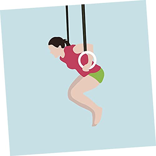 Birch Gymnastics Rings for Full Body Workouts Exercise Rings for Strength Training Durable Non Slip Grip for Pull Ups Push Ups Dips and More