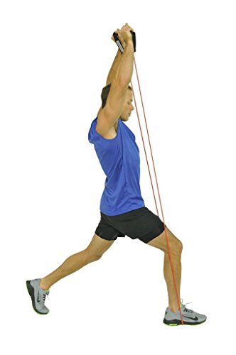 Exercise Bands & E-Book- Premium Resistance Bands in 7 Strength Options Lifetime Replacement Warranty
