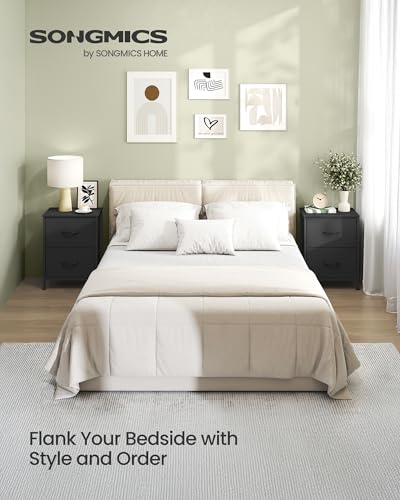 SONGMICS Nightstand with 2 Fabric Drawers, Bedside Table, Side End Table - color: Ink Black + Ebony Black, size: 1 Pack