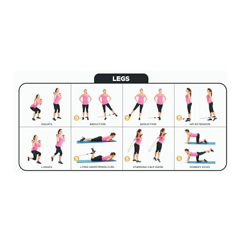 Bodylastics Patented Basic Series Resistance Band Set - Resistance Bands with Snap Reduction Tech, 2 Handles, 2 Ankle Straps, 1 Door Anchor & 1 Carry Bag - color: Workout Guide Poster