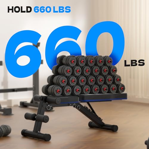 FitinOne Adjustable Folding Weight Bench for Home Gym, 660 lbs Capacity Multi-Functional Workout Bench Sturdy Durable for Full Body - color: Black-Blue