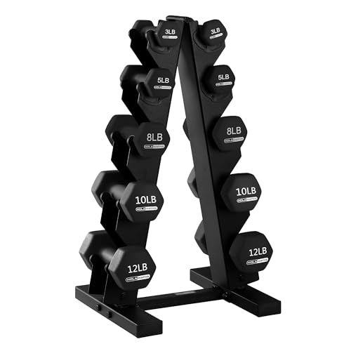 Neoprene Dumbbell Weights Set w/Rack, Home Gym Equipment - Portable Weighted Exercise Dumbbells for Fitness, Training, and Lifting Workouts - color: Black, size: 76 LB