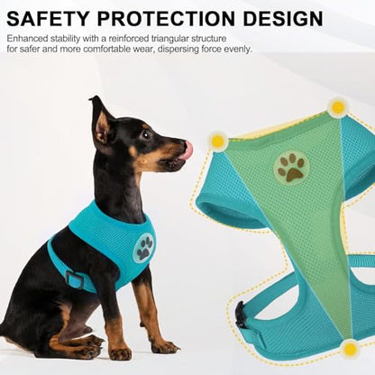 BINGPET Small Dog Harness, No Pull Step-in Puppy Pet Vest, Blue - color: Aqua, size: S (NECK: 12", CHEST: 14"-18")