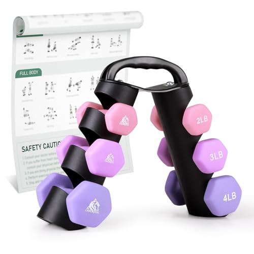 LIONSCOOL Set of 2 Neoprene Coated Dumbbell Hand Weights, Anti-Slip and Anti-Roll Hex Dumbbells in Pair for Strength Training, Resistance Training - style: 18lb, set of 6 with stand (Lilac Fantasy)