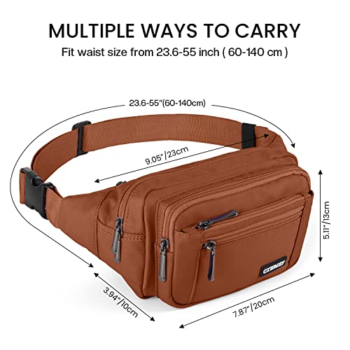 CXWMZY Fanny Packs For Women & Men Waist Pack Hip Bum Bag with Multi-Pockets Large Capacity Waterproof Casual Bum Bag for Disney Traveling Casual Cycling Running Hiking (Brown1) - color: Brown1