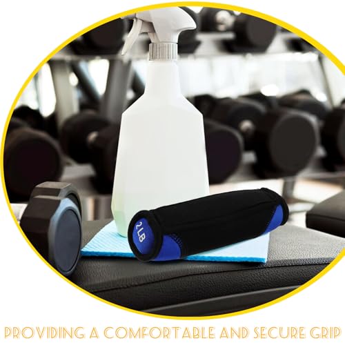 Soft Dumbbells 2lb Pair Portable Hand Weights for Running Fitness Training Blue Sandbag Arm Exerciser Home Workout Equipment
