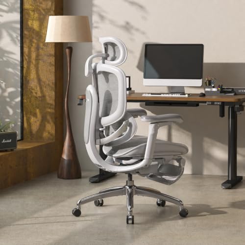 SIHOO Doro C300 Pro V2 Ergonomic Office Chair with Footrest, 2 Packs, Grey - color: Grey, size: Pack of 2