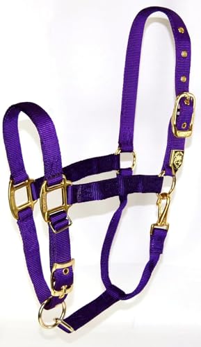 Hamilton Deluxe Horse Halter, 1" Triple Ply Nylon, Adjustable Chin Strap, Easy On/Off Throat Snap, Small Horse or Weanling Draft, 500-800 lbs, Purple - color: Purple, size: Small, 500-800lbs