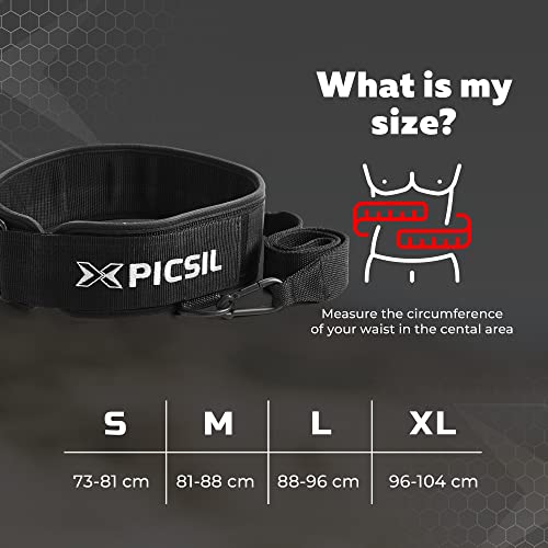 PICSIL Dip Belt, Weighted Belt, Weightlifting Belt for Training, Fitness, Gym (Large)