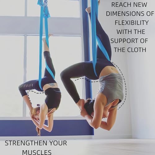 F.Life Aerial Silk Yoga Hammock & Swing for yoga Inversion,Strength training,starter hardware kit