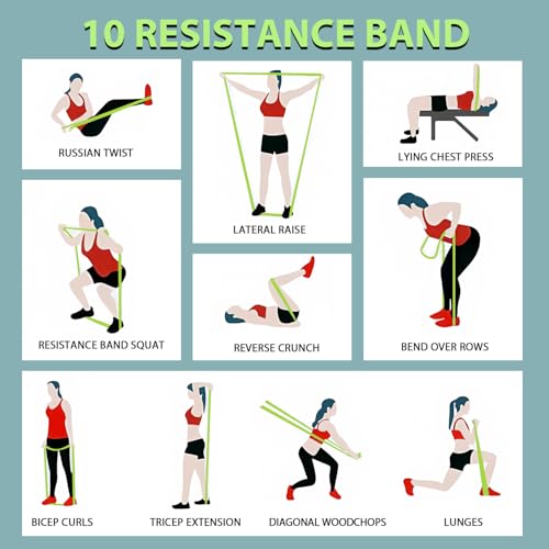 Pull Up Assistance Bands,5-125LB Resistance Bands with Grip、Door Anchor、Gym Bag - Exercise Bands for Full-Body Training, Fitness, Physical Therapy -USA Original Patent - style: 5-125LBS MORANDI