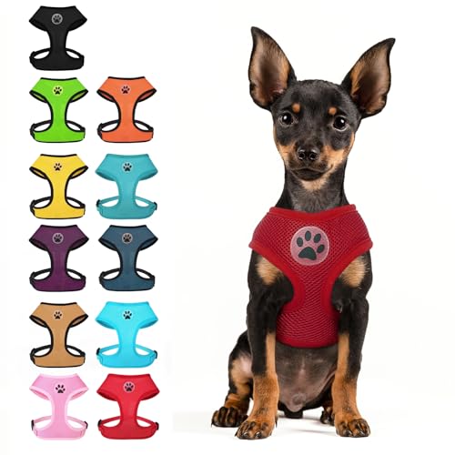 BINGPET Small Dog Harness, No Pull Step-in Puppy Pet Vest, Red - color: Red, size: XS (NECK: 10", CHEST: 10"-14")