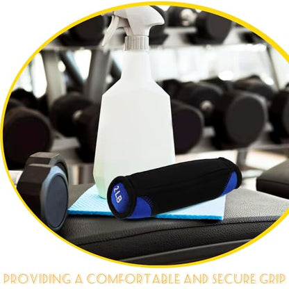 FUOYLOO Soft Sandbag Dumbbells Hand Weights Pair 2lb Each Blue for Running Fitness Hand Training Exercising Equipment Home Gym Strength Training