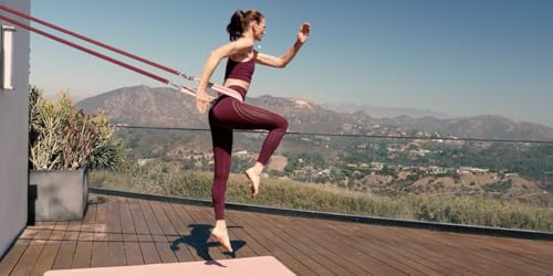 STAERK Pilates Suspension Training System - Premium Resistance Training Kit - At-Home Pilates for Strength & Flexibility - Resistance Bands Set for Home Gym, Travel, and Outdoors