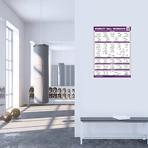 Palace Learning 2 Pack - Yoga Ball Workout Exercises Volume 1 & Volume 2 - Stability Ball Routine - Fitness Charts