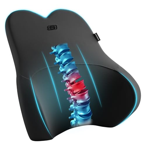 Skechers Air-Cooled & Memory Foam Lumbar Pillow,Lumbar Support Pillow for Office,Chair Lower Back Pain Relief Lumbar Pillow,Ergonomic Design Back Support Pillow for Office Chair,Car,Home,Travel,Black - color: Black