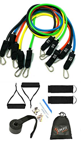 5 Stackable Resistance Bands Upto 100 lbs Home Gym Physical Workout Set Includes Door Anchor, Ankle Straps & Handles Self Training for Men & Women Body Toning[12 PC Set][Easy Carry]