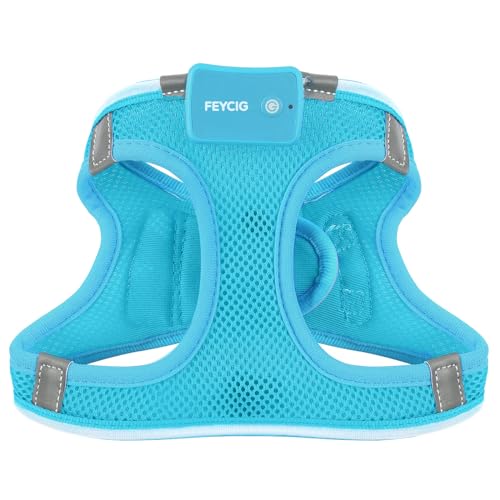 Light Up Dog Harness, Rechargeable LED Dog Harness for Small Medium Dogs - color: Blue, size: XS