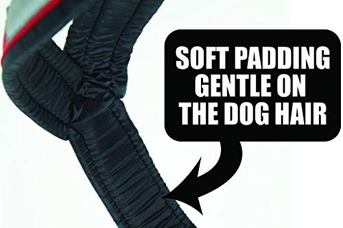 Pro Sled Dog Harness (Red, Large)