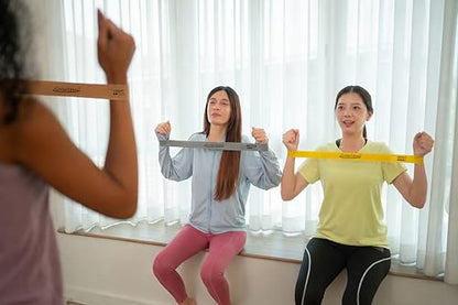3 Pack Resistance Bands Set - Gold/Silver/Bronze Power Bands for Workouts, Exercise, Strength Training, Pull Up Assist, Physical Therapy & Home Gym - Fitness Bands by GolgiStim