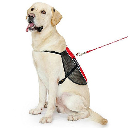 PLUTUS PET Service Dog Vest with 2 Removable Patches, Light Weight and Breathable Mesh Service Animal Harness,Perfect for Summer and Hot Days,Red,M,Girth 22.8-27" - size: M( 22.8-27" Girth)