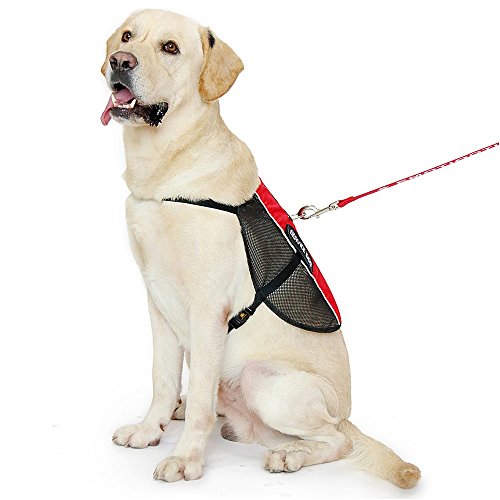 PLUTUS PET Service Dog Vest with 2 Removable Patches, Light Weight and Breathable Mesh Service Animal Harness,Perfect for Summer and Hot Days,Red,XL,Girth 31.5-39" | Breathable Mesh, Reflective, Adjustable, Ideal for Summer and Hot Days, Harness for Puppy
