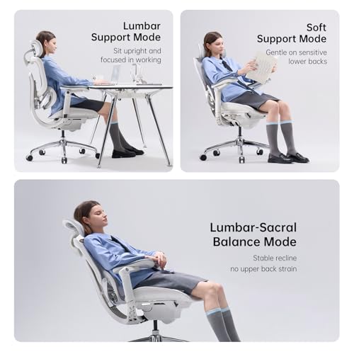 SIHOO Doro C300 Pro V2 Ergonomic Office Chair, 135° Recline, 2 Packs, White - color: White, size: Pack of 2