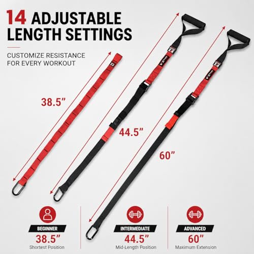 Valor Fitness Suspension Training Straps, Full Body Trainer for Home Gym