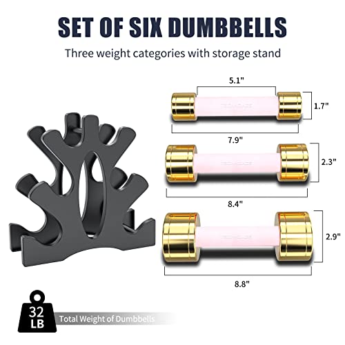 TECHNOAGE Round Dumbbell Sets with Steel Handle, Odorless Neoprene rubber Handle Cover - color: Pink-6PC