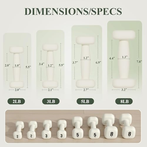 PAETA Neoprene Dumbbell, Hand Weights with Curved Grip for Women, Anti-Slip, Anti-Roll, Square Dumbbells for Full-Body Workout, Strength Training