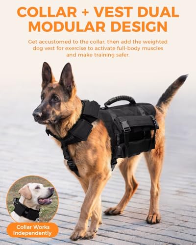 Tactical Weighted Dog Vest for Exercise with Adjustable Weighted Collar, Pocketed Design, Dog Weight Vest Suitable for Walking, Strength Training, Muscle Building with Medium & Large Dogs (L)