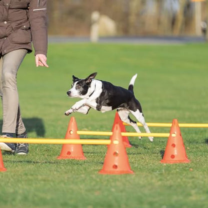 TRIXIE Dog Agility Hurdle Cone Set – Jump Set with Height Adjustable Crossbar for Beginners to Advanced, Training Equipment for Dogs – 6 x Cones, 3 x Agility Rods