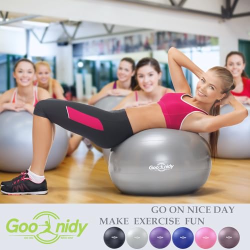 PL-0015 Soft Exercise Ball, Anti-Burst Yoga Ball Chair Supports 2200lbs PL-0015