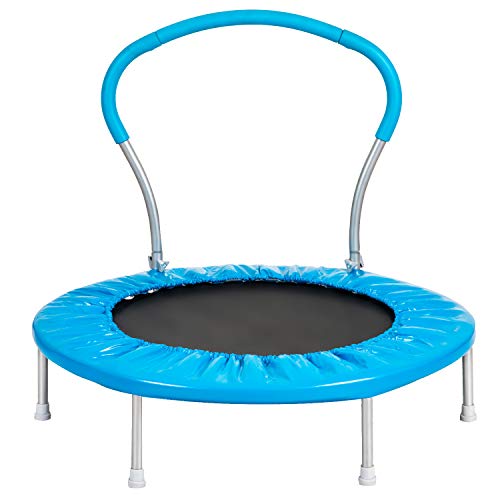 36 Inch Mini Trampoline with Handle, Indoor Outdoor Small Trampoline with Safety Foam Padding, 6 Steel Legs, Metal Frame – Easy Assembly