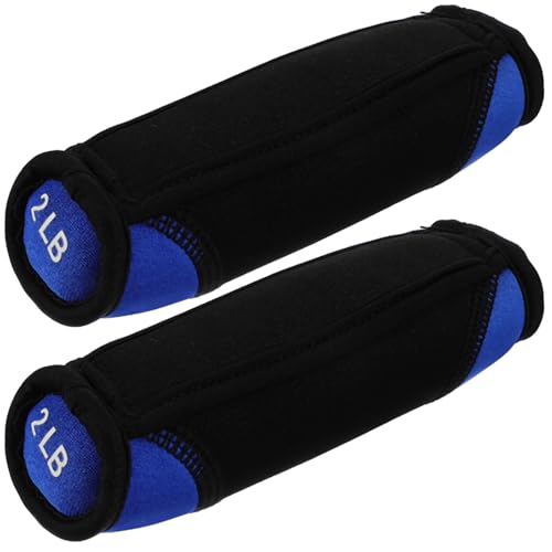 Soft Dumbbells 2lb Pair Portable Hand Weights for Running Fitness Training Blue Sandbag Arm Exerciser Home Workout Equipment