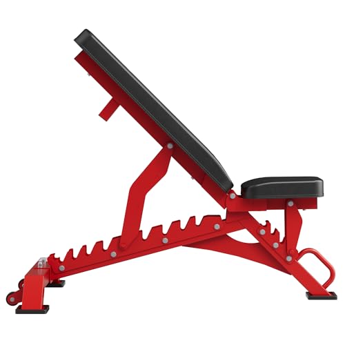 MAJOR FITNESS Weight Bench - 1300LBS Weight Capacity and 36 Adjustable Positions Strength Training Bench for Garage and Home Gym Workouts - color: Red