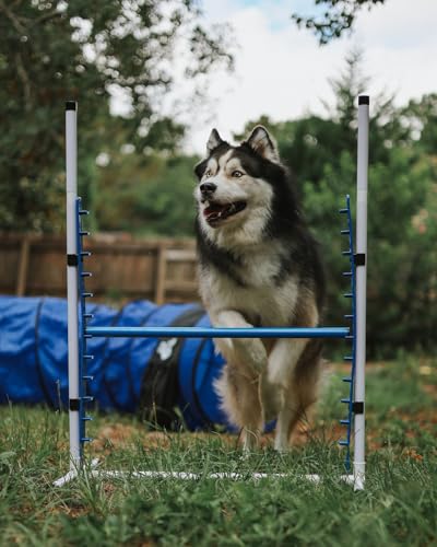 4 Pack Adjustable Dog Agility Jumps w/Safety-Focused Features | 2 Bar Jumps with Cup Strips | 2 Breakaway Tire Jumps